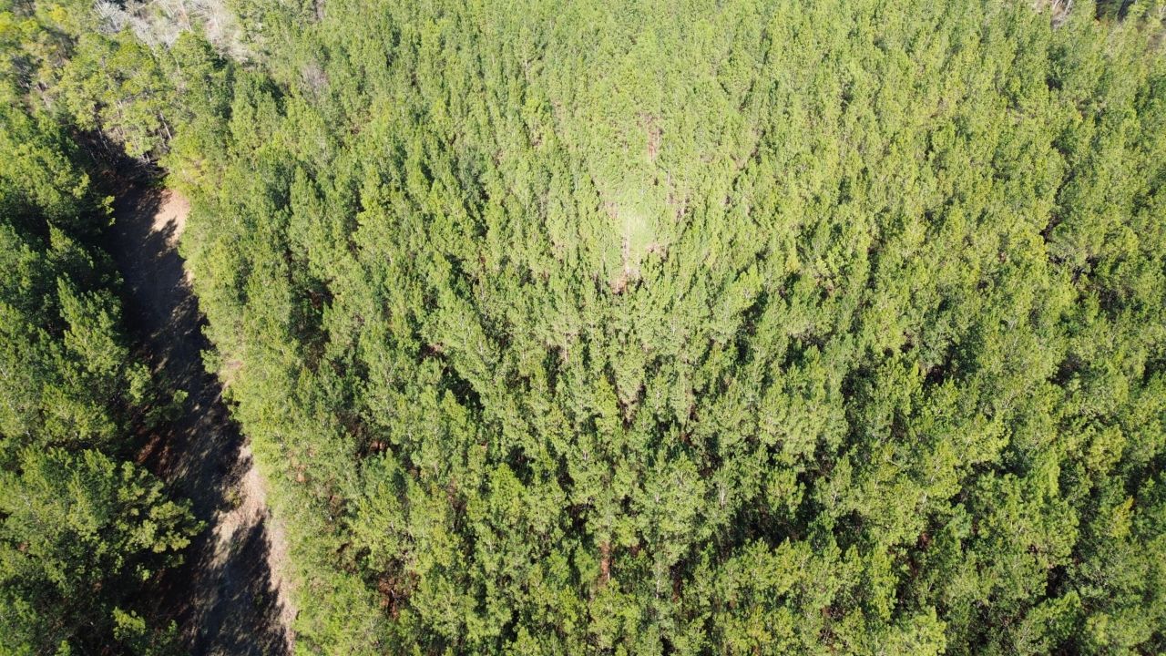 6 Red Oak Rd Photo 8