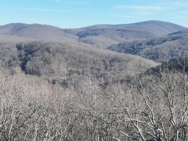 275 Andes Ridge, Ellijay, GA 30536