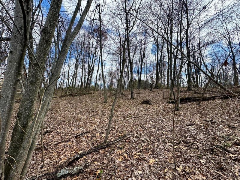 100 Golf Course Road , Unit (Tract 12 , Waverly, OH 45690 Photo 11