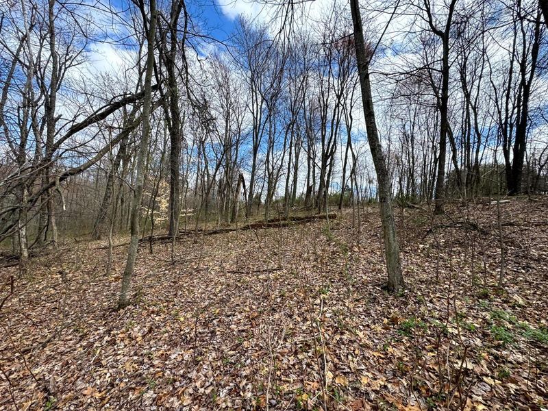 100 Golf Course Road , Unit (Tract 12 , Waverly, OH 45690 Photo 12