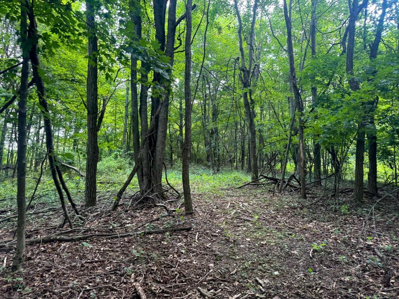 100 Golf Course Road , Unit (Tract 12 , Waverly, OH 45690 Photo 13