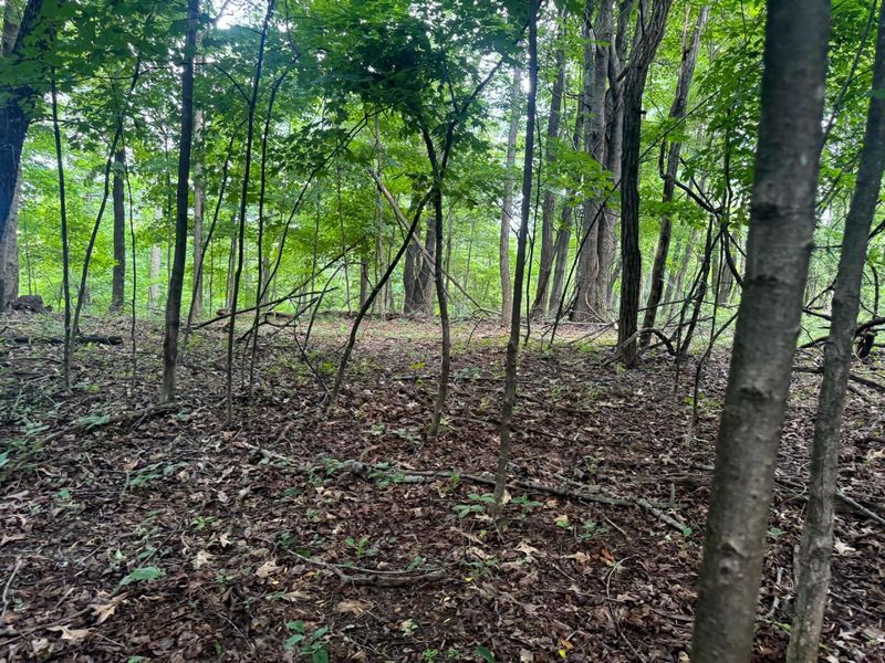 100 Golf Course Road , Unit (Tract 12 , Waverly, OH 45690 Photo 14