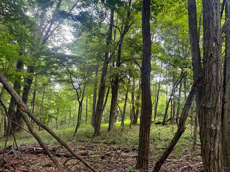 100 Golf Course Road , Unit (Tract 12 , Waverly, OH 45690 Photo 15