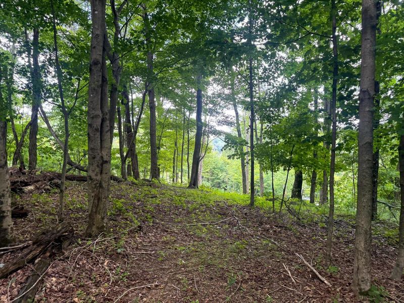 100 Golf Course Road , Unit (Tract 12 , Waverly, OH 45690 Photo 16