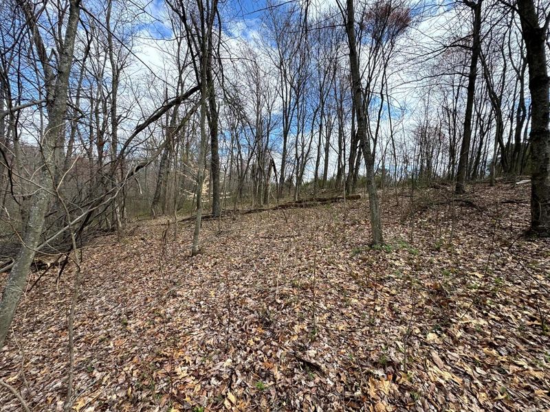 100 Golf Course Road , Unit (Tract 12 , Waverly, OH 45690 Photo 33