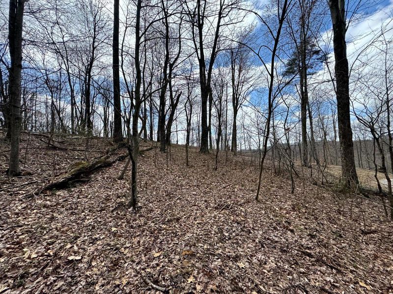 100 Golf Course Road , Unit (Tract 12 , Waverly, OH 45690 Photo 34