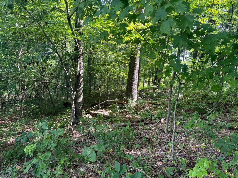 100 Golf Course Road , Unit (Tract 12 , Waverly, OH 45690 Photo 36