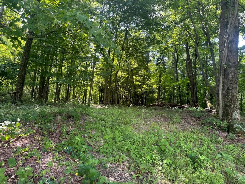 100 Golf Course Road , Unit (Tract 12 , Waverly, OH 45690 Photo 37