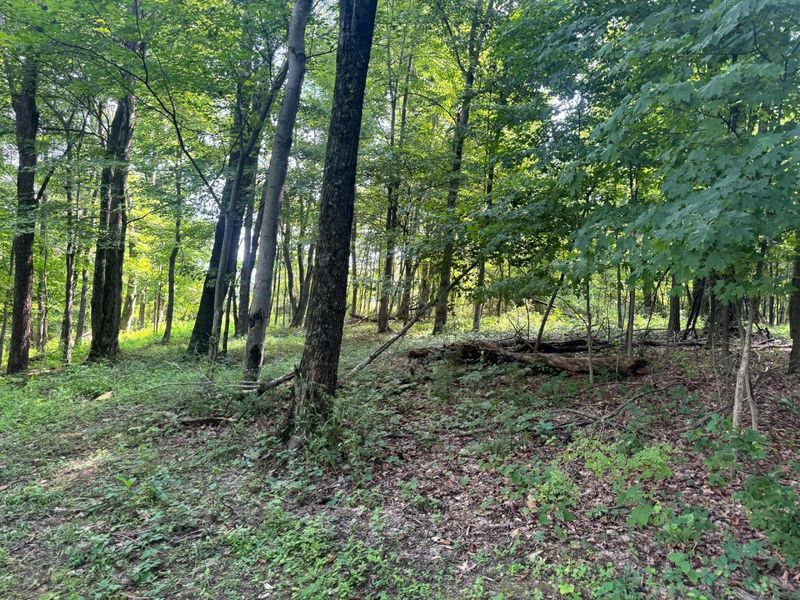 100 Golf Course Road , Unit (Tract 12 , Waverly, OH 45690 Photo 38