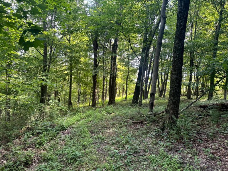 100 Golf Course Road , Unit (Tract 12 , Waverly, OH 45690 Photo 39