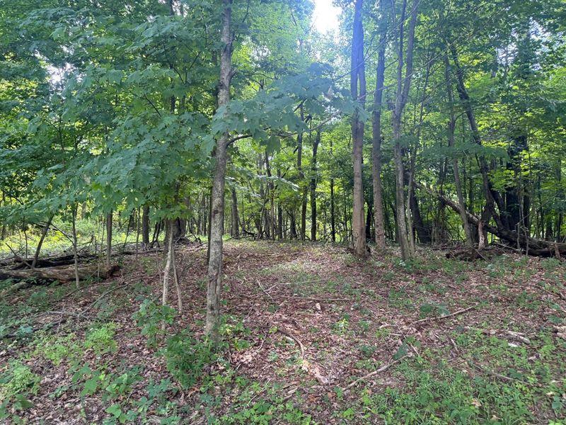 100 Golf Course Road , Unit (Tract 12 , Waverly, OH 45690 Photo 40