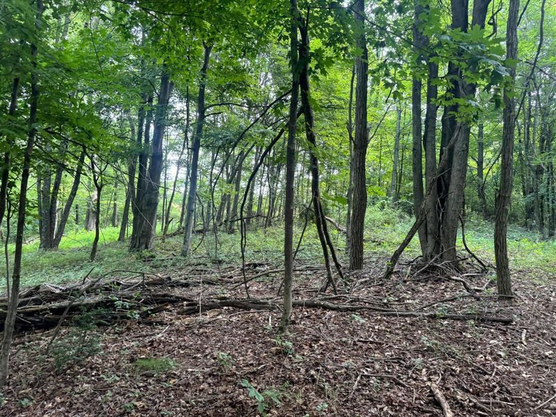 100 Golf Course Road , Unit (Tract 12 , Waverly, OH 45690 Photo 41