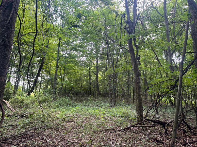 100 Golf Course Road , Unit (Tract 12 , Waverly, OH 45690 Photo 42