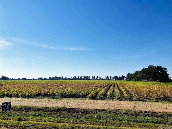 39.10 Acres W Main, Trumann, AR 72472
