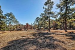 124 Shannon Drive  photo 4