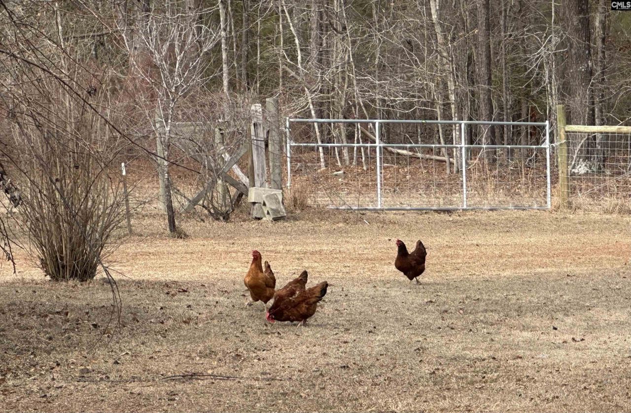 124 Shannon Drive  Photo 23