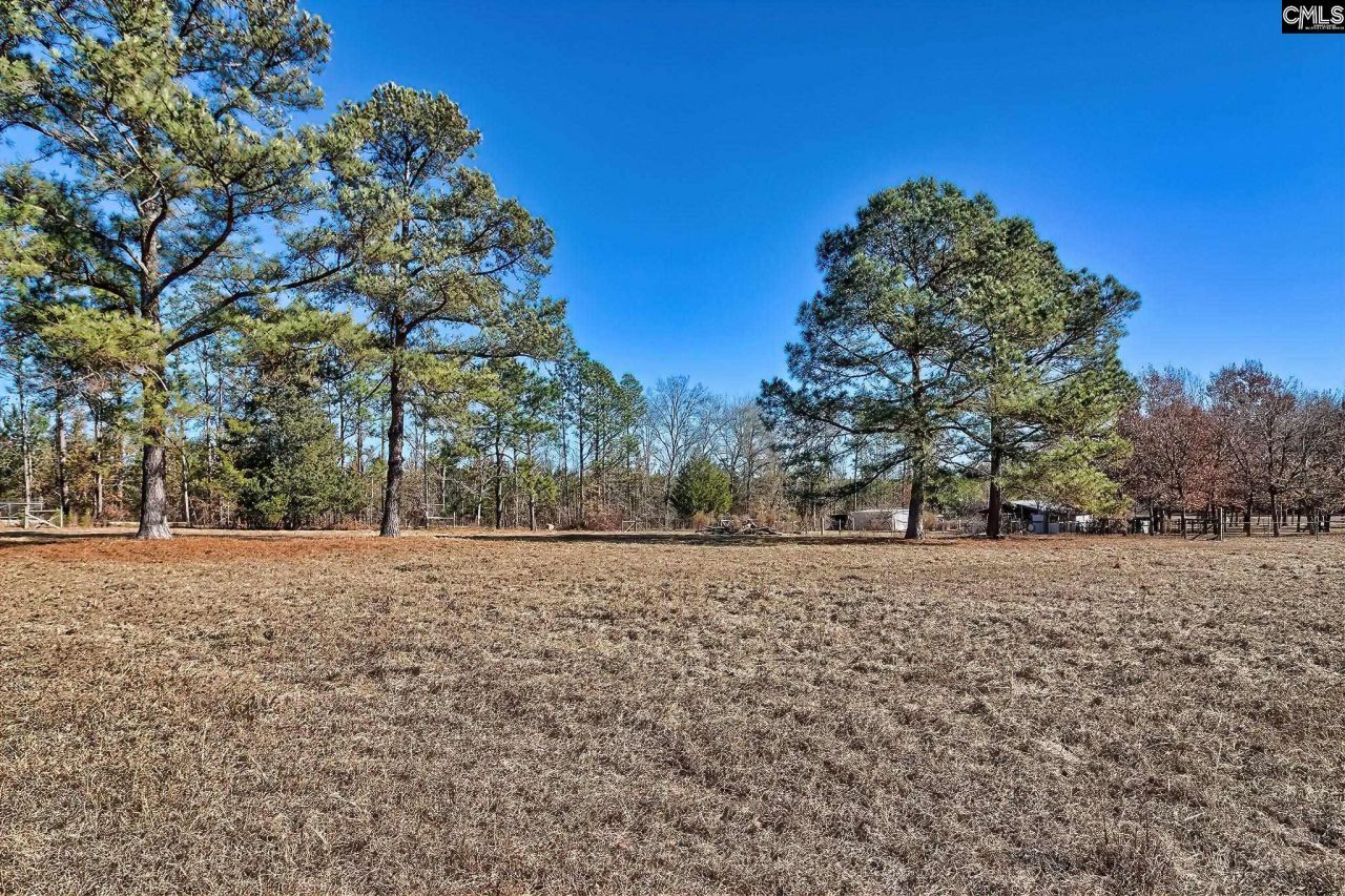 124 Shannon Drive  Photo 42