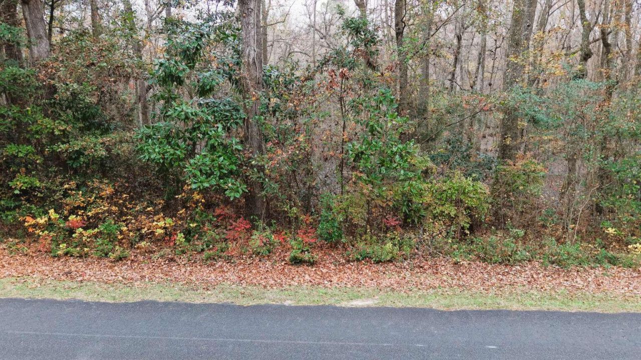 00 Betsy Hole Road Photo 13