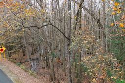 00 Betsy Hole Road photo 4