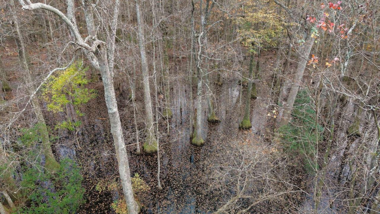 00 Betsy Hole Road Photo 8