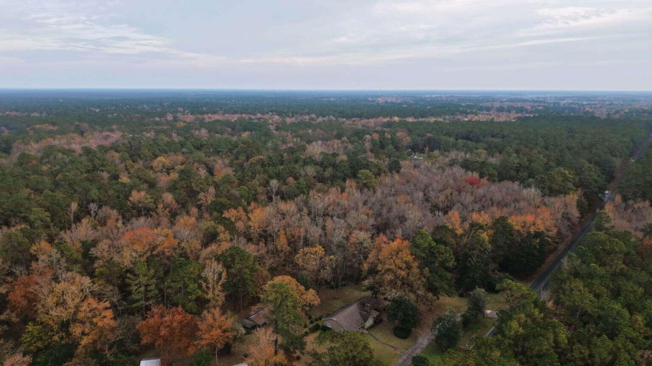 00 Betsy Hole Road Photo 9