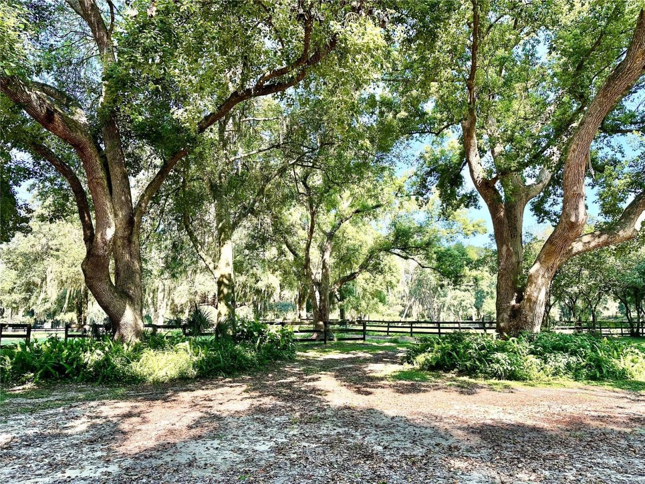 5625 NW 193rd Lane, Orange Lake, FL 32681 Photo