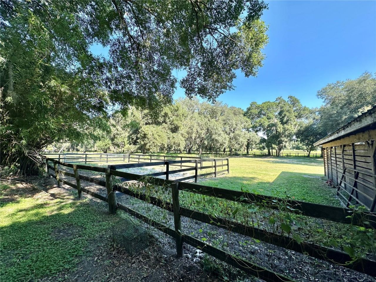 5625 NW 193rd Lane, Orange Lake, FL 32681 Photo