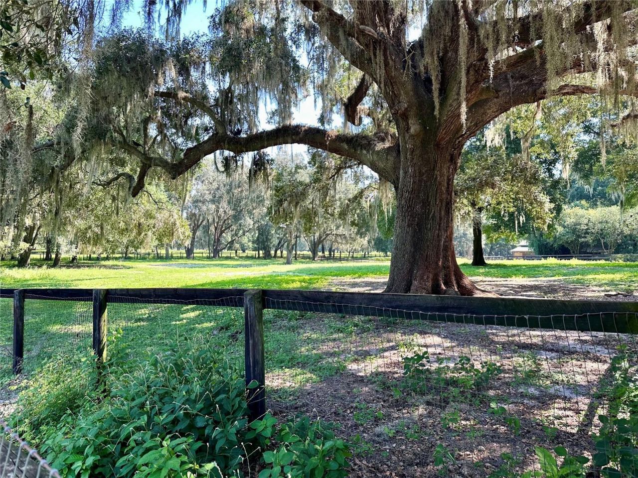 5625 NW 193rd Lane, Orange Lake, FL 32681 Photo