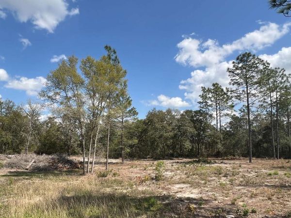 000 NE 134TH TERRACE, Williston, FL 32696