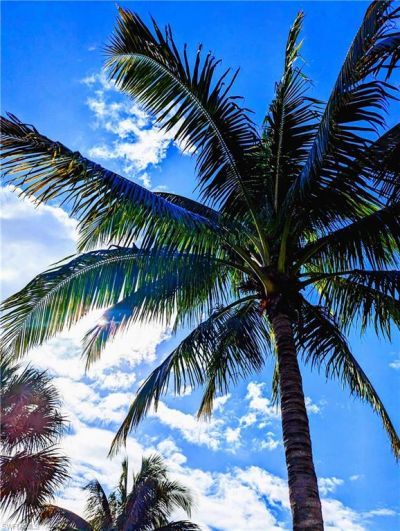 2623 Somerville Loop, Unit 508, Cape Coral, FL 33991 Photo