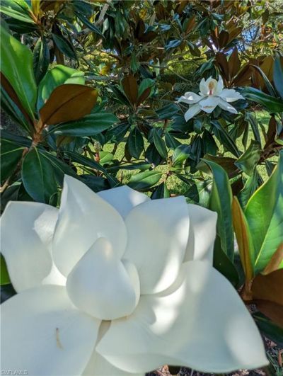 2623 Somerville Loop, Unit 508, Cape Coral, FL 33991 Photo