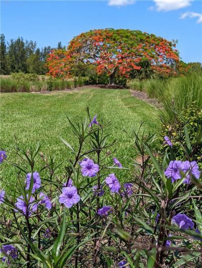 2623 Somerville Loop, Unit 508, Cape Coral, FL 33991 Photo