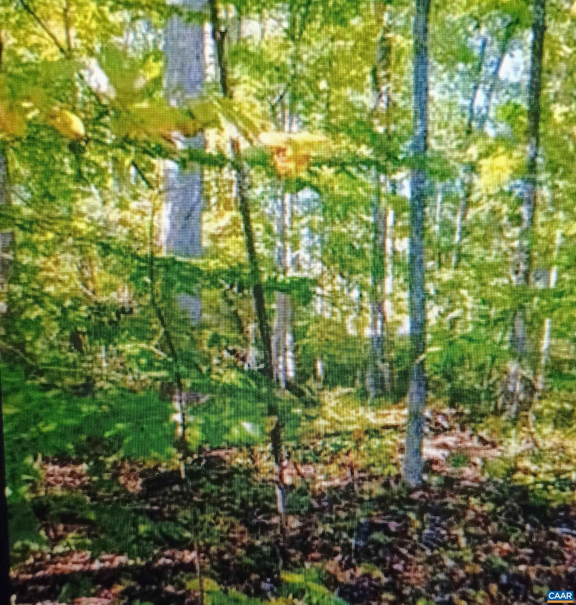 Lot 1154 Ferndale Dr, Louisa, VA 23093 Main Photo