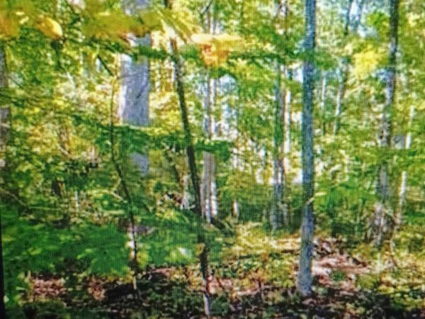 Lot 1154 FERNDALE DR, Louisa, VA 23093