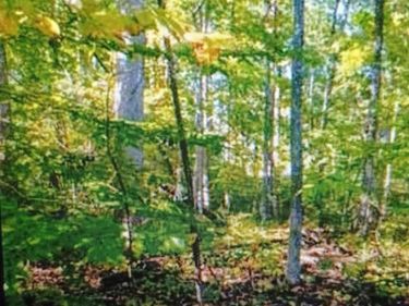 Lot 1154 FERNDALE DR, Unit 1154, LOUISA, VA 23093