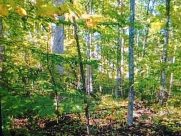 Lot 1154 FERNDALE DR, Unit 1154, LOUISA, VA 23093