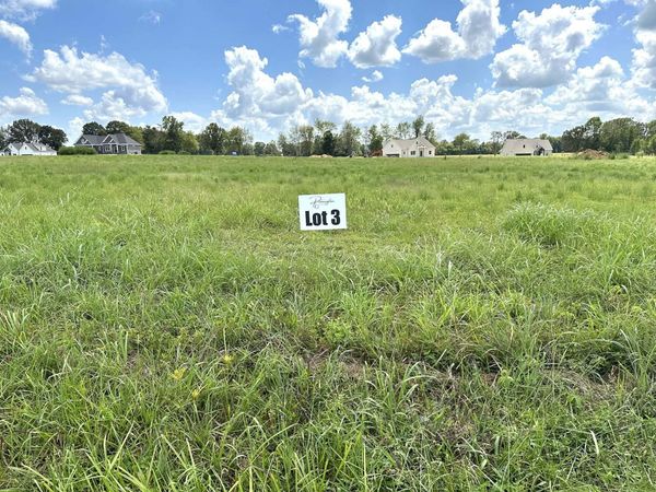 260 Dugout Road , Summertown, TN 38483