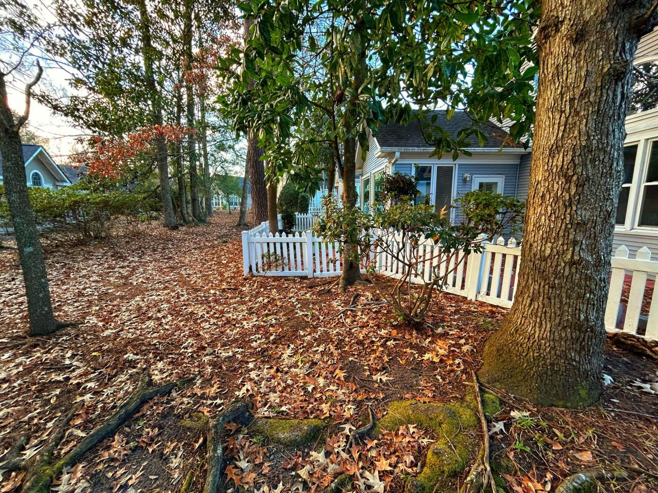 9123 Delancey Circle Photo 39