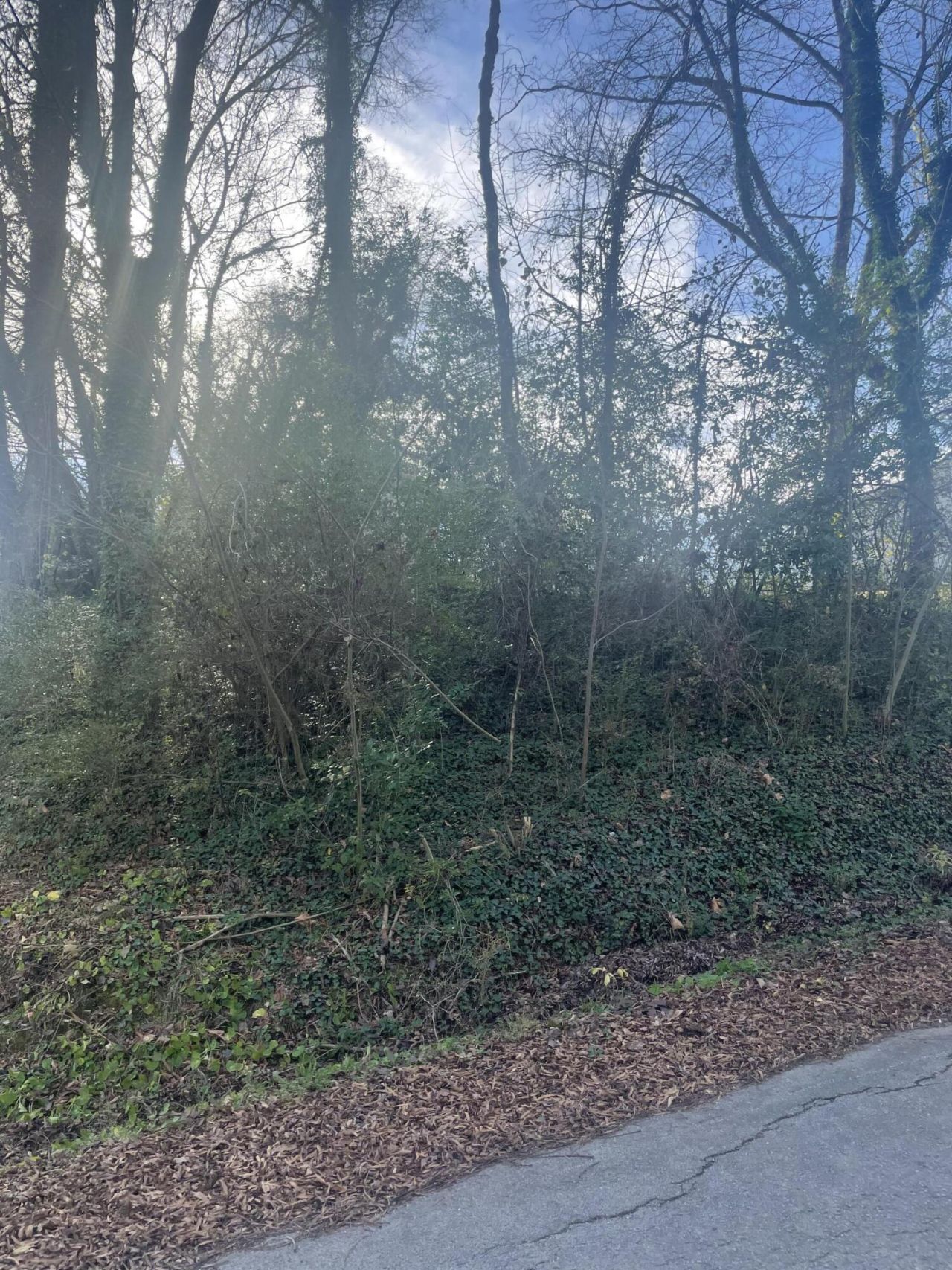 0 Rotary Drive, Chattanooga, TN 37416 Main Photo