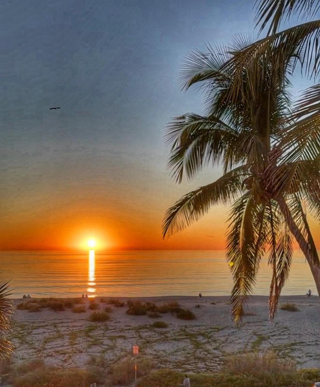 213 The Esplanade S, Venice, FL 34285 Photo