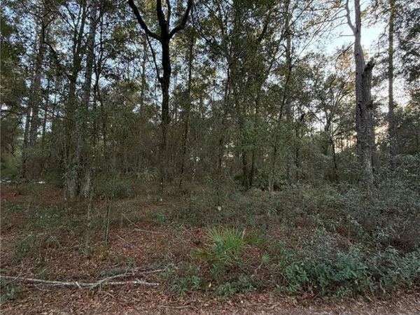 TBD SW 150TH STREET, DUNNELLON, FL 34432