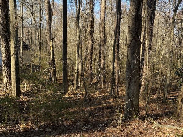 0 Valley Drive, Unit LOT 12, Stockbridge, GA 30281