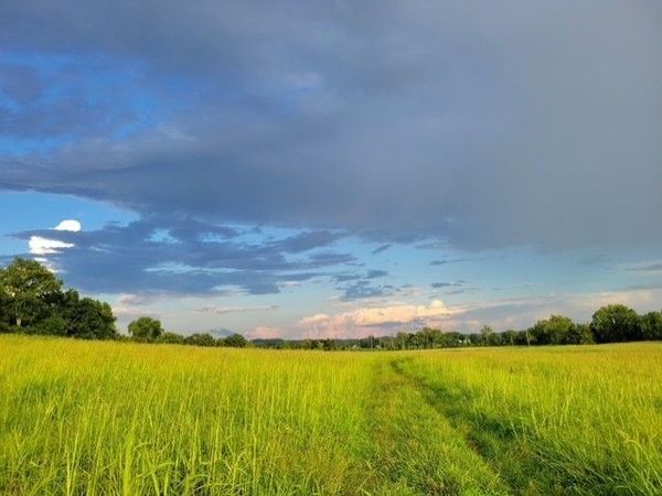 0 Glasgow Branch Rd, Hartsville, TN 37074