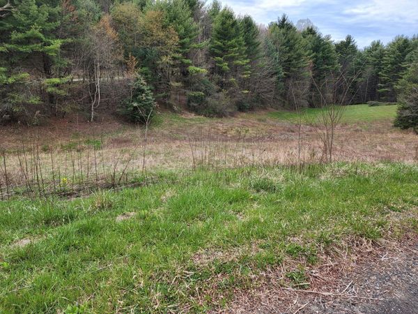 Tbd Lot 30 Laurelwood Lane, Mountain City, TN 37683