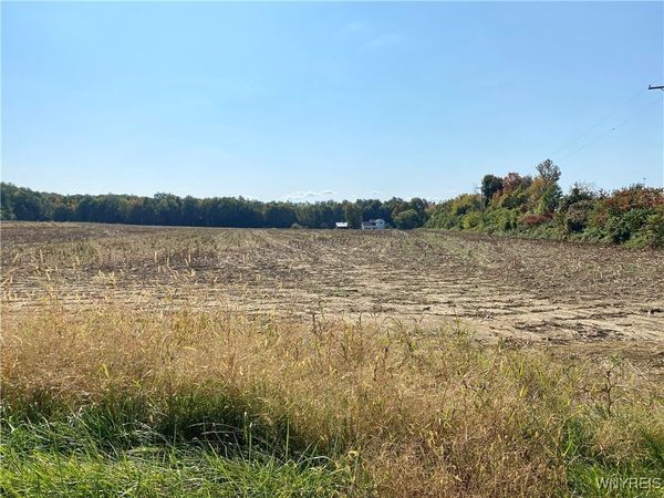 V/L Schintzius Road, Eden, NY 14057