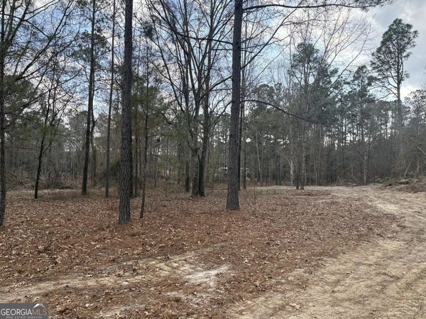 0 GA Hwy 338 (Taylor Grocery Rd), Cadwell, GA 31009