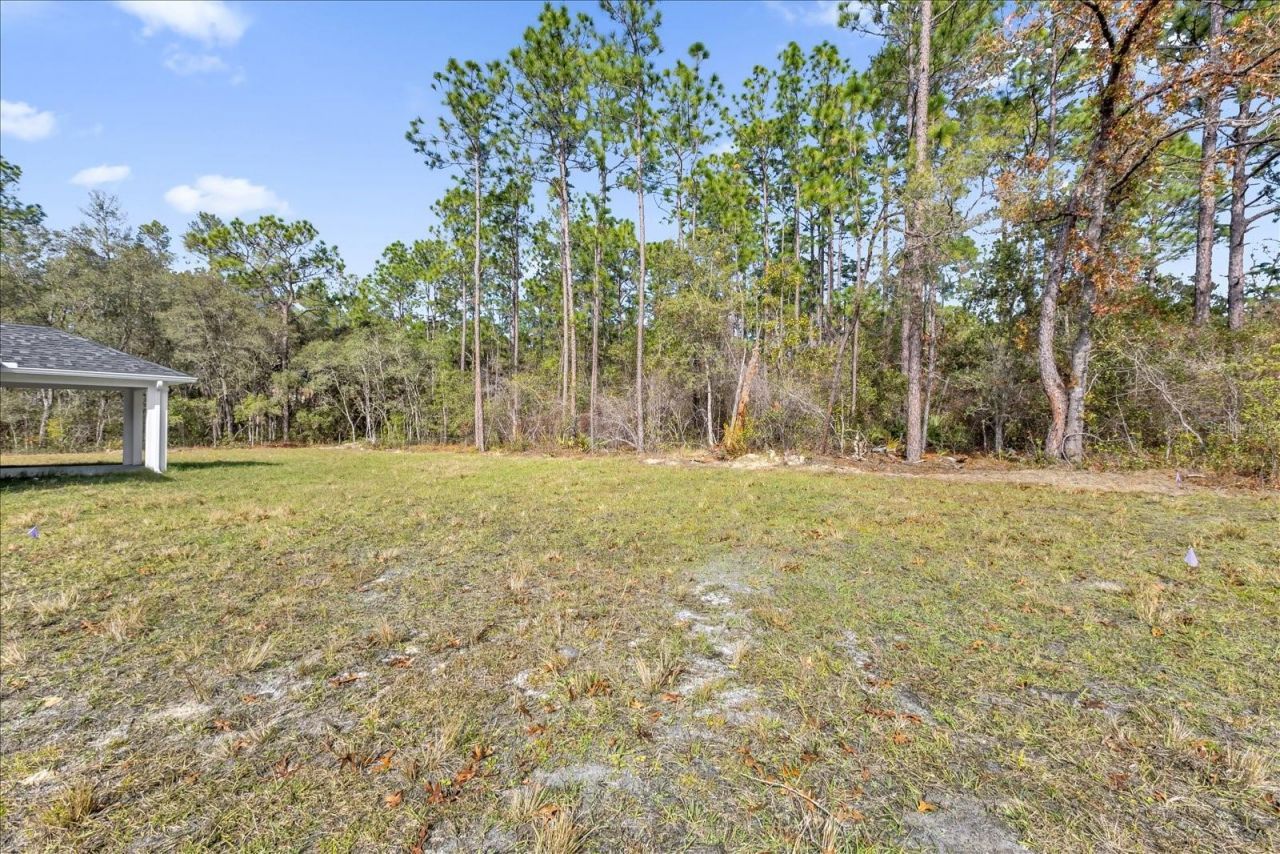 4015 W Indian Rock, Dunnellon, FL 34433 Photo