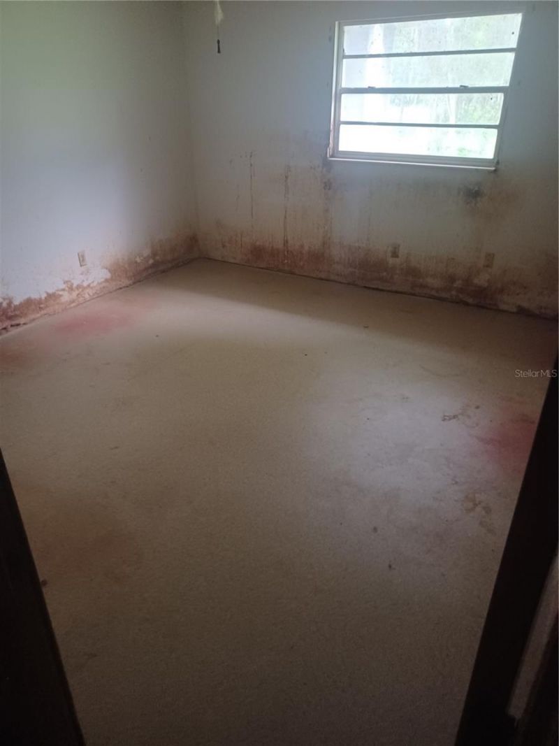 155 Parsons Road, Longwood, FL 32779 Photo