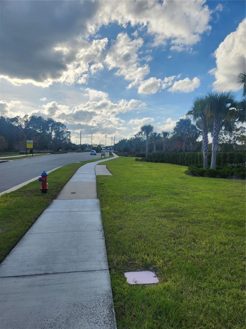 3023 Sanctuary Drive, Clermont, FL 34714 Photo