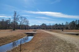 170 Rice Gate Court photo 4